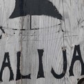 Galija 4117