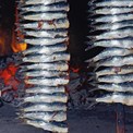 Dfabijanic lastovo (5)