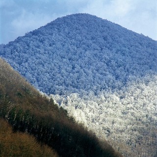 G kotar(10)