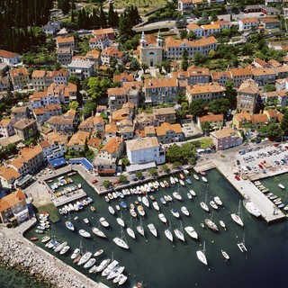 Plavi volosko