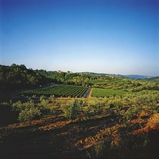 Vinar