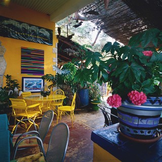 Palmizana 1