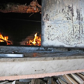 Mreznica 7050