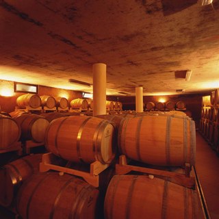 Vinistra