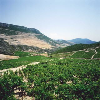 Milos 1