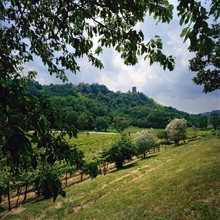 Kozlovic 1