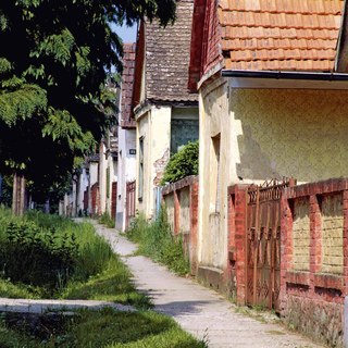 Dfabijanic baranja