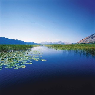 Dfabijanic neretva2