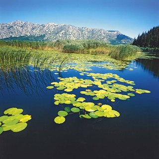 Dfabijanic neretva3