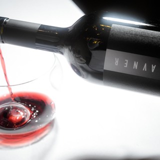 Skipass   gravner   photo dean dubokovic 133