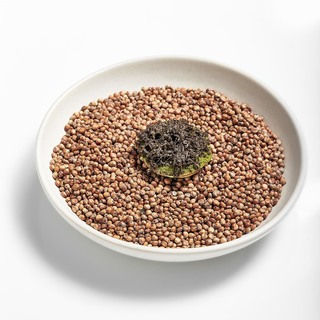 Plato aplicaciones de la carne madurada jeremy chan01 01