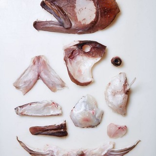 Coral head breakdown 530x 2x