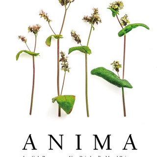 Animalescols cover montagudeditores