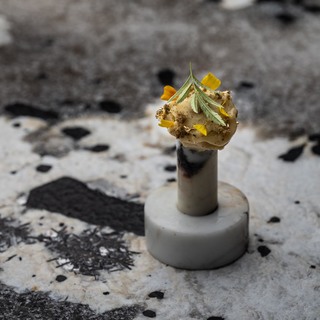 Charentais melon   roof garden wakatai   summer flowers   il granito pieter d hoop