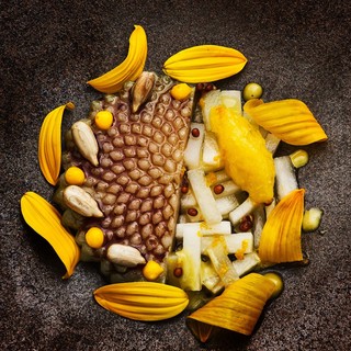 C joan pujol creus   el celler de can roca jerusalem artichoke with sunflower seeds  orange  wild mustard and calendula.
