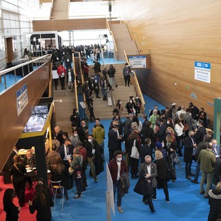 Ambiferia111
