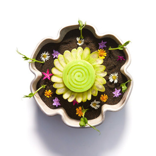 06 wgaggan dish