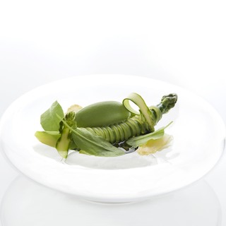 25 vaucluse asparagus