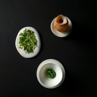 44 wildvegetables zenmai