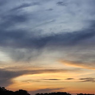 Img 8041