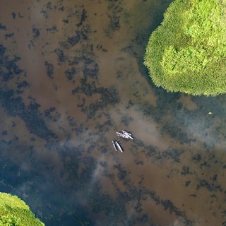 Dji fly 20250703 202608 88 1751545831591 photo