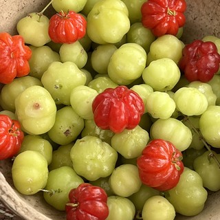 Img 7830