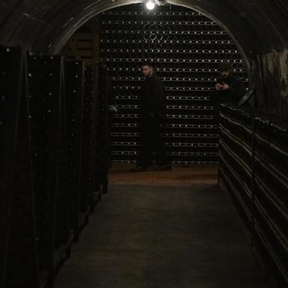 Thebestchef andreamolvetti 45