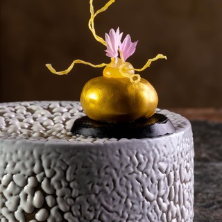 Atelier hamachi bauch gru%cc%88ne currycreme  indonesische aromen %c2%a9danielschvarcz