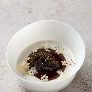 Come  gelatina coco caviar  photo  corinalanda 