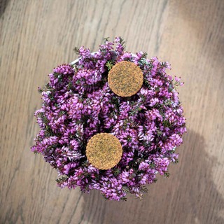 Biscotto di polenta e formaggio di bunker