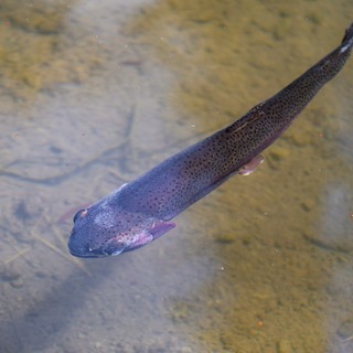 Se%cc%81fexpedi%cc%81cio%cc%81 elso%cc%8b nap (12 of 118)