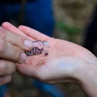 Se%cc%81fexpedi%cc%81cio%cc%81 elso%cc%8b nap (60 of 118)