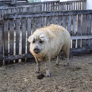 Se%cc%81fexpedi%cc%81cio%cc%81 harmadik nap (125 of 179)