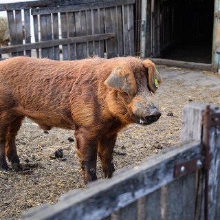 Se%cc%81fexpedi%cc%81cio%cc%81 harmadik nap (126 of 179)