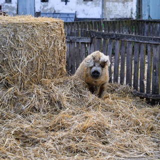 Se%cc%81fexpedi%cc%81cio%cc%81 harmadik nap (128 of 179)