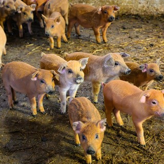 Se%cc%81fexpedi%cc%81cio%cc%81 harmadik nap (135 of 179)