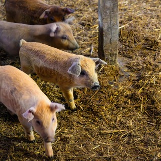 Se%cc%81fexpedi%cc%81cio%cc%81 harmadik nap (136 of 179)