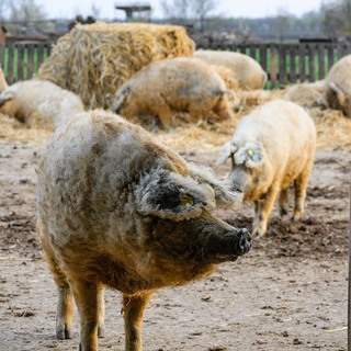 Se%cc%81fexpedi%cc%81cio%cc%81 harmadik nap (139 of 179)