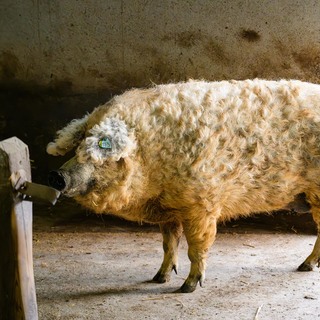 Se%cc%81fexpedi%cc%81cio%cc%81 harmadik nap (140 of 179)