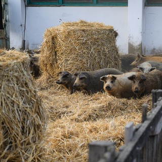 Se%cc%81fexpedi%cc%81cio%cc%81 harmadik nap (147 of 179)