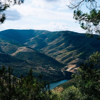 Host douro  jmp