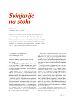 No41 26 dossier svinjetina morgan 2